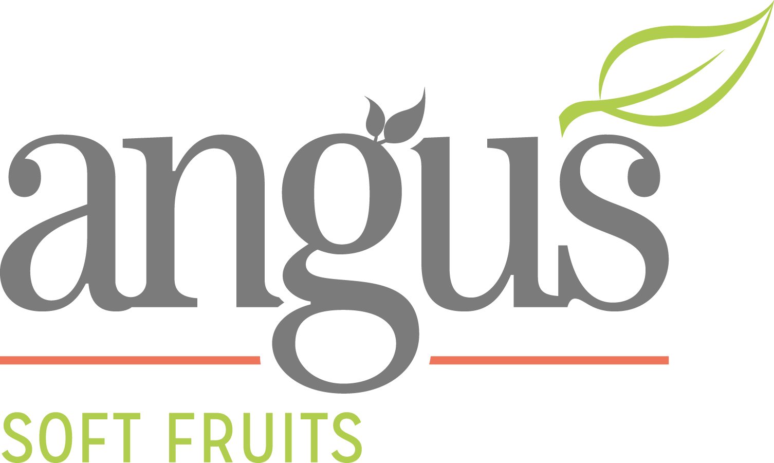 Angus Soft Fruits